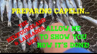 Capelin Prepared The Newfoundland and Labrador Way