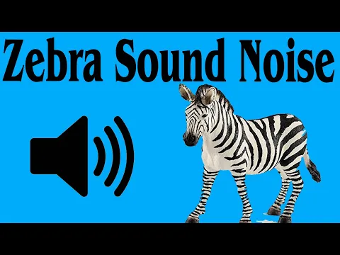 Download MP3 Zebra sound effects | Zebra Sound Effect | Zebra Sound Noise