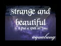 Strange and Beautiful (I'll Put a Spell on You)- Aqualung (Lyric Video)