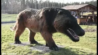                                          دندنها