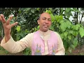 Download Lagu 2463. പിശാചിന്റെ argument കണ്ടോ (Job 1,11) | Fr.Binoy Karimaruthinkal PDM