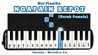 ngapain repot not pianika midi