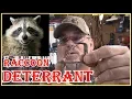 HOW TO SAFELY KEEP RACCOONS AWAY FROM YOUR AND OFF YOUR FENCES
