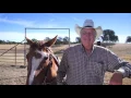 Conlin Supply Commercial