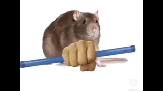 Groan tube memes