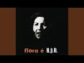 Download Lagu Reza