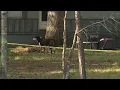 Crews on scene of Davidson County deputy-involved shooting