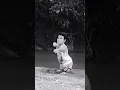 mentahan terangkanlah orang buntung lucu viral ngakak