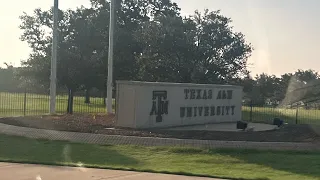 My experience with NSC tamu