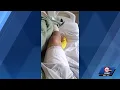 Family says man needed surgery after ICE encounter in Kansas City Kansas