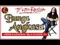 Download Lagu TERRA ROSSA - BUNGA ANGKASA | VERSI KARAOKE