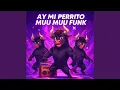 Lagu AY MI TORITO MUU MUU FUNK
