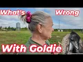 Download Lagu What's Wrong with Goldie?