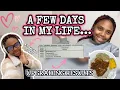 Download Lagu Getting my Upgrading Results! A Few Days With LEE| Yapp Session| Random days in my life#sayoutubers