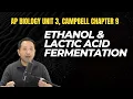 AP Biology Anaerobic Cell Respiration Fermentation Chapter 9 on Campbell Biology