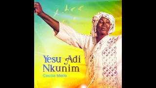 owerekyekyefo by cecilia marfo 2021 subscribe my youtube channel