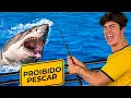 Download Lagu QUEBREI 1.001 LEIS EM MENOS DE 24 HORAS!