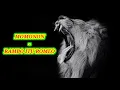 Download Lagu MOMONON - RAMBO ITU ROMEO