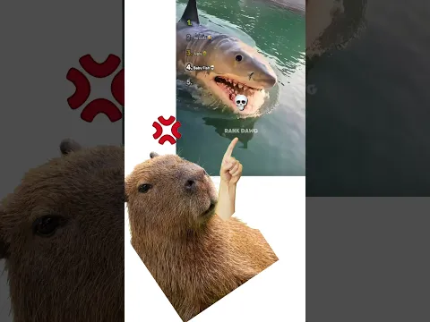 Ranking das melhores evoluções dos animais #ranking
