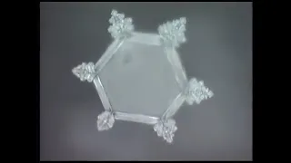 A mensagem da água (Massaru Emoto)