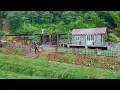Download Lagu Building Bricks Steps Down To Front Of The House, Anti-Erosion Embankment Foundation, Grow Flower