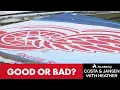 Is The Red Wings GM Opening A Good Or Bad Job Costa and Jansen