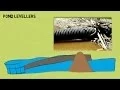 Living With Wildlife Beavers and Flow Devices