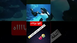 جيسيكا ولحظ افتراس حوت الاوركا قصه 