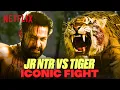 Royal Bengal Tiger ATTACKS Jr NTR Who Will Win This Epic Fight RRR Hindi Netflix India