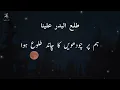 Download Lagu Tala,al Badru Alayna /Mishary rashid Alafsy Nasheed