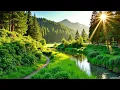 Download Lagu Beautiful Relaxing Music🍃 Healing Music for Stop Overthinking, Stress Relief, Calming music , sleep