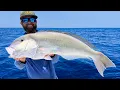 Download Lagu 600 Ft Hand Crank - Tile Fish - Searching For A Record