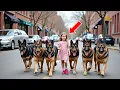 Download Lagu Six Trained German Shepherds Surround a Little Girl… What Happens Next Shocks the Entire Town!
