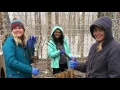 Caring for Cats - App State Alternative Service Experience