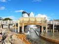 Tidal Force - Observation Area