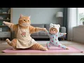Lagu Poor Mama Cat Works Until She's Exhausted, Ginger Kitten Helps Her with Yoga 😿💖
