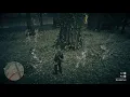 Red dead redemption 2 Oleander Sage best location