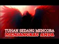 Download Lagu Jiwa Terpilih ✨ Anda Telah Lulus Ujiannya, SEKARANG DENGARKAN KARENA INI PENTING!! 
