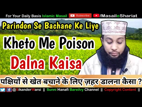 Parindo Ko Door Bhagane Ke Liye Faslo Pe Zeher Dalna | پرندوں سے بچانے کے لئے کھیتوں میں زہر ڈالنا
