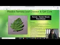 Plant Leaf Disease Prediction using Deep learning