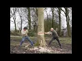Download Lagu Felling An Ash Tree By Hand