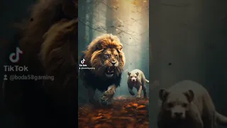 ولد رحت وجئت من غير خربوش   دندنها