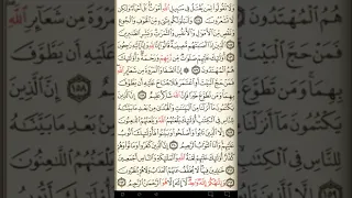 ماهر المعيقلي سورة البقرة مكتوبة صفحة 24 مصحف المدينة المنورة جودة عالية 