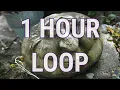 Download Lagu MR. SUNNY FACE - WAYNE JONES｜MR. SUNNY FACE★1 HOUR LOOP NO COPYRIGHT FREE MUSIC CINEMATIC HAPPY