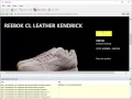 scraping shoe data from oneness287 com using WebHarvy