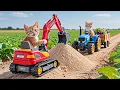 Download Lagu Kitten Helps Mama Cat Fix Broken Road While Harvest Grape at Farm 🐾🐱🍇👷‍ | Heartwarming Story