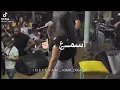 حالات واتس اب (تجي نتجوز بسر)للفنانة سارة الزكريا بجودة 360p