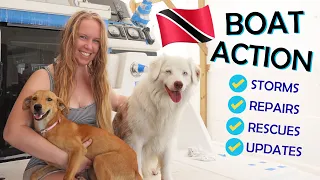 Boat Life is BUSY! Wreck Recovery, Window FAIL, Warranty Updates & Rescuing Dogs