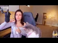 Alinity feeds her cat Vodka on Twitch stream