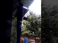 Download Lagu Masih dengan glatik wingko, dengan ramuan madu+jahe